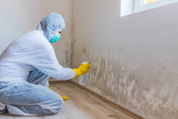 Licensed Mold Testing service in Spotsylvania, VA - WQB Mold Removal