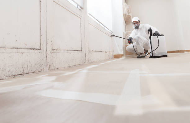 24/7 Emergency Mold Testing experts in Spotsylvania, VA