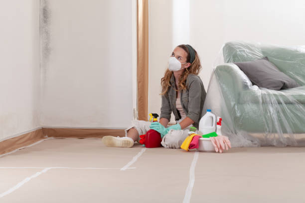 Reliable Mold Testing contractor in Spotsylvania, VA by WQB Mold Removal